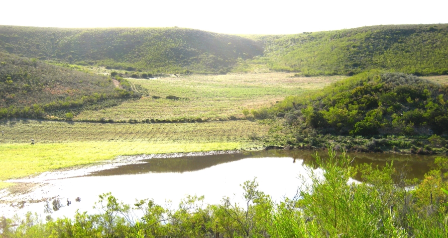 3 Bedroom Property for Sale in Joubertina Eastern Cape